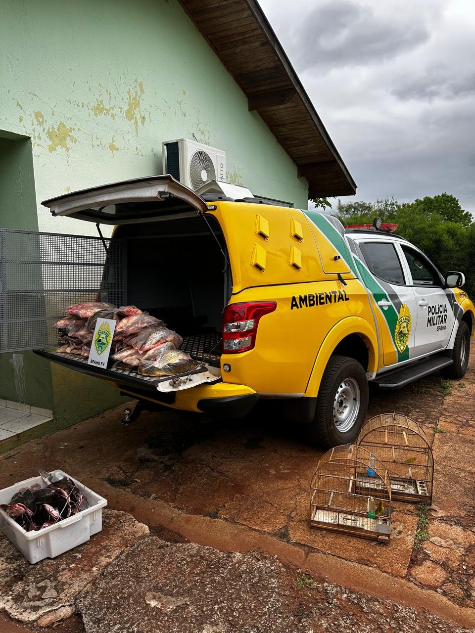 1496fefa-1f07-4d83-a396-0c69b68a55f9