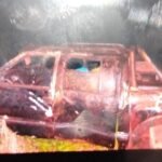 3b146f52-290d-408e-9188-862192fd77b5