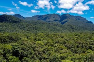 Morretes, 13 de dezembro de 2023 - Serra do Mar paranaense, em Morretes.