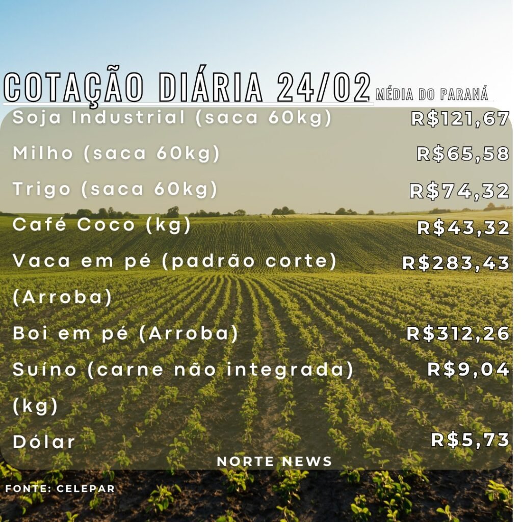 WhatsApp Image 2025-02-24 at 12.57.02